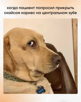 Мем